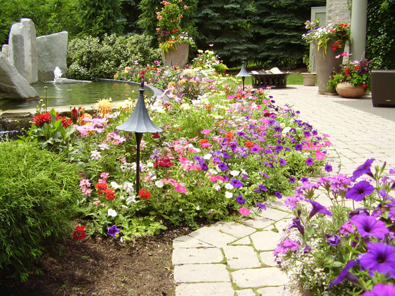 LANDSCAPE MAINTENANCE – Guzman Landscape and Associates