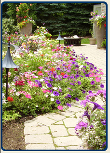 CONTACT US – Guzman Landscape and Associates